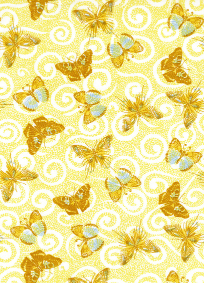 BORBOLETA SUMMER 4
